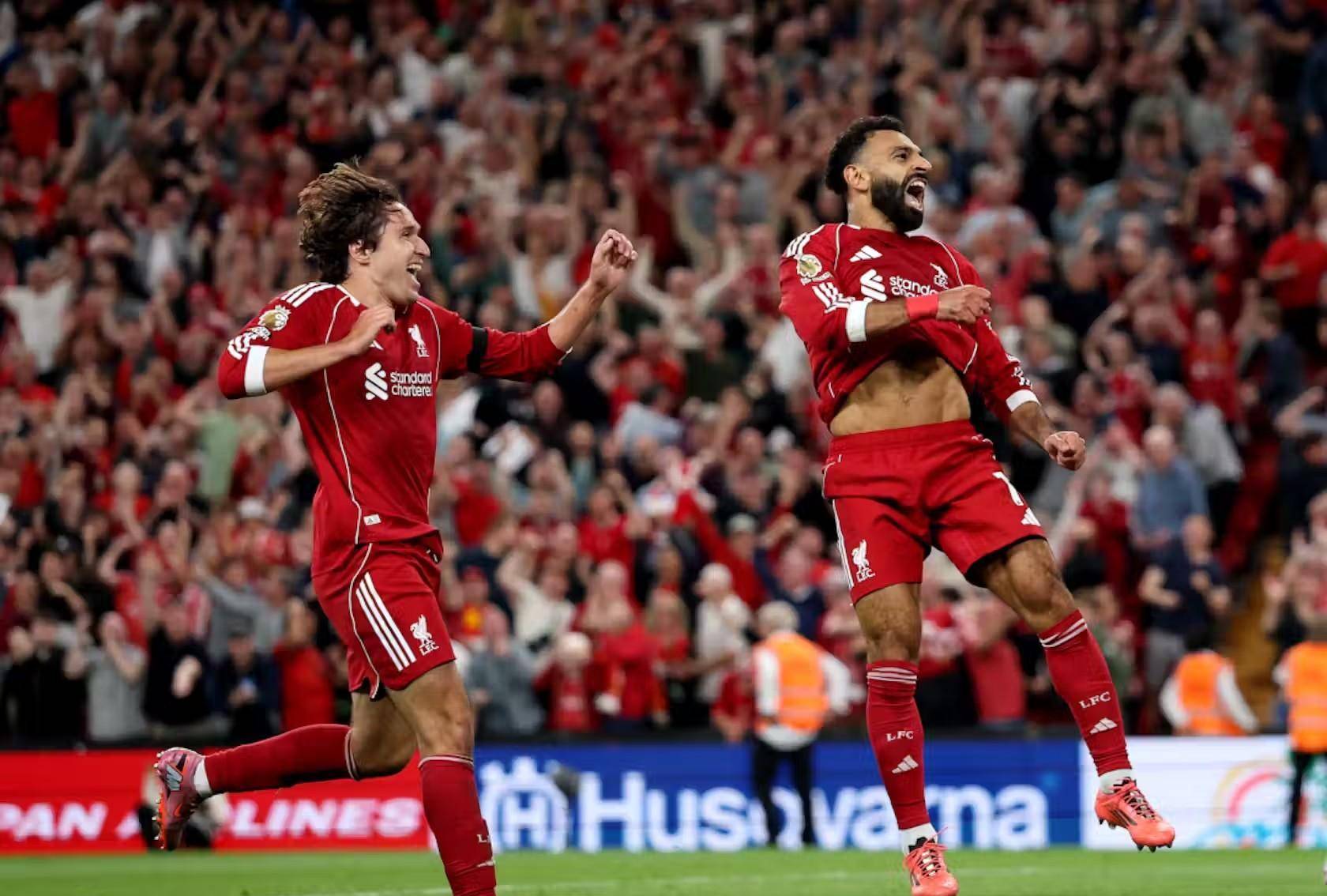 仅展示了巴 仅展示了巴