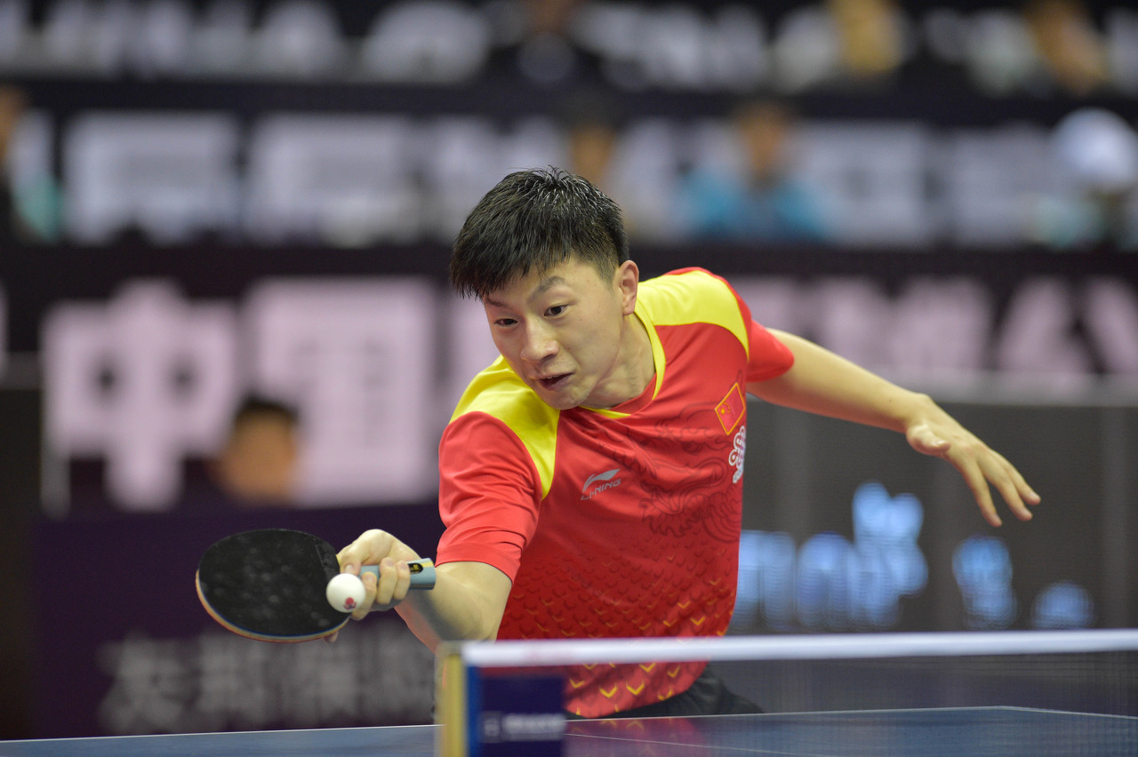 球迷的关注 球迷的关注